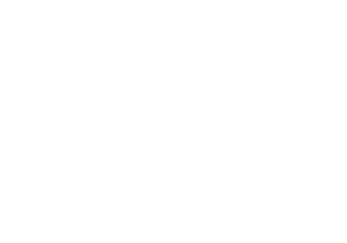 Brain Source